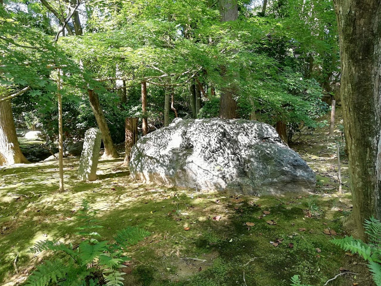 龍安寺 池泉回遊式庭園 | 奈良 京都 散策サイト